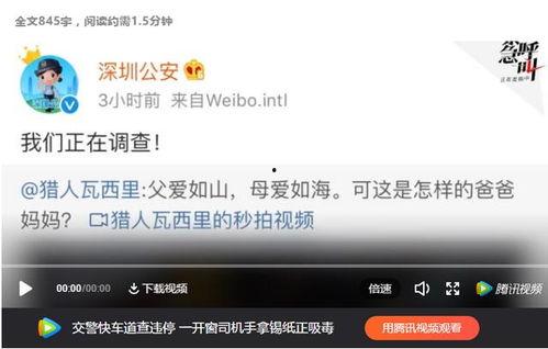 女孩家长爆料视频播放网站,女孩视频疑遭非法传播，揭秘网络平台监管漏洞  第3张